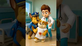 Chase and Rubble saved pregnant Everest #pawpatrul #pawpatroltoys #pawpatrol #funny #shorts