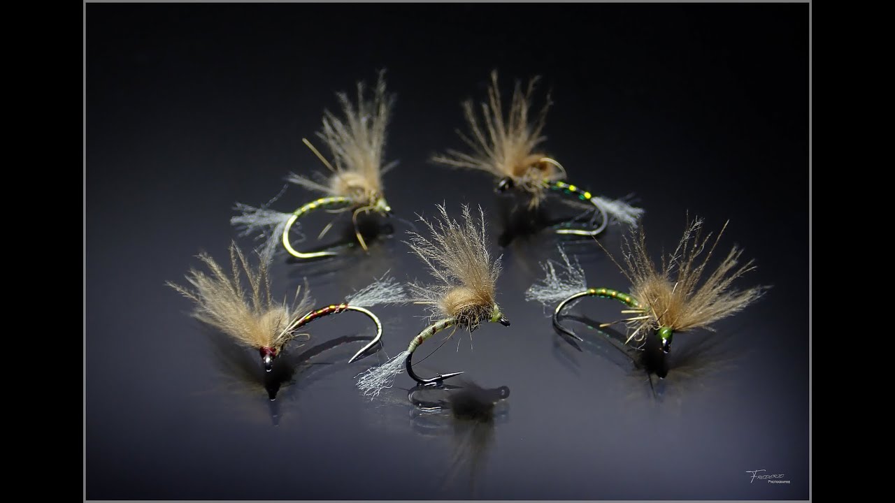 L' E.C.P.P.    (Emergente chiro passe partout)(emerging chironome goes everywhere)