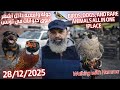 سوق منصف باي طيور كلاب وحيوانات نادرة في مكان واحد Birds Dogs And Rare Animals 28 12 2025 