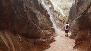 Flash Flood Caught on Camera! Little Wild Horse Slot Canyon