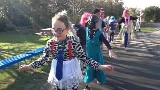 Crazy Day - Halcombe School