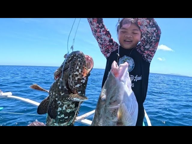 Whitebait Spot & Shoals In The Net 