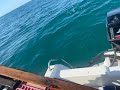 Shark swimming around the boat, 5km off Safety Bay