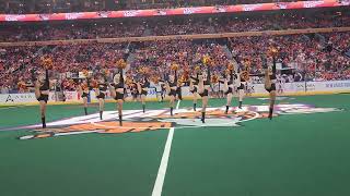 Burn it to the Ground - NLL Finals 2024