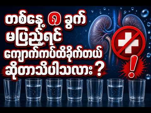 တစ်နေ့ ရေ ၈ ခွက် မဖြစ်မနေသောက်ရမလား?