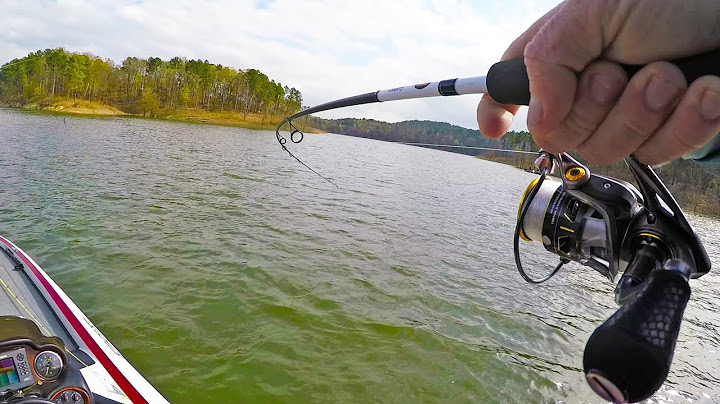 This Might Be My New Favorite Lake!! | Field Trips Oklahoma | Field Trips with Robert Field