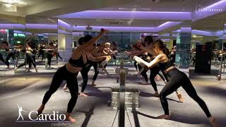About CARDIO BARRE～LESSON～