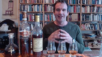 Intro to Cognac Part 1, the 40%-ers: D