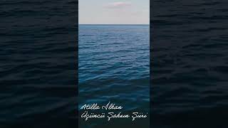 Üçüncü Şahsın Şiiri Reels