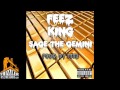 Feez ft sage the gemini  king prod feez thizzlercom