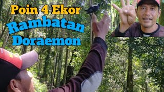 Cara Mudah Mikat Burung Rambatan Doraemon || di Hutan Jawa Timur Part 1