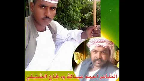 الشاعر احمد عبدالله ود نجاع الشنبلي 