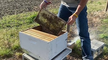 NUC To 10 Frame Hive