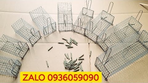 Bán lồng bẫy chuột đồng. Bán lồng bẫy chuột không cần mồi. Lồng bẫy chuột đường mòn. Lò xo chuột.