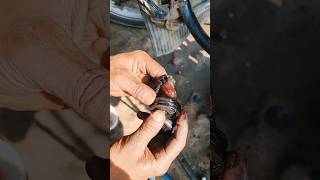 Hero Splendor Oil Pump Gear Change mechanic viral shorts bike