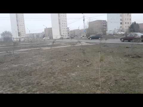 ქართული ოცნება ამწვანებს :(((