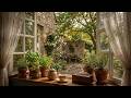 a quiet rainy dawn - relaxing piano and rain sounds for deep focus, reading & unwind