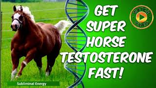 GET SUPER HORSE TESTOSTERONE FAST! SUBLIMINAL ENERGY FREQUENCIES