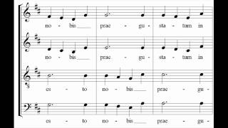 Mozart - Ave verum corpus - Les arts florissants chords