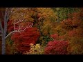 ケツメイシ「花鳥風月」