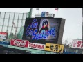 東京ヤクルトスワローズ 攻撃開始前 Go Go Swallows 神宮球場 