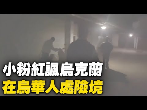 小粉红讽乌克兰，中国留学生遭殃。俄乌战争爆发多日，中共大使馆迟迟未撤侨，当地中国留学生出现恐慌。加上中国粉红发布大量反人类言论，有消息称乌克兰当地出现反华情绪