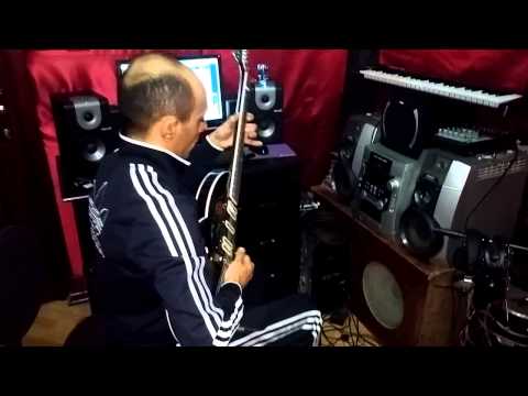 Ramin gitara segah bagcada guller