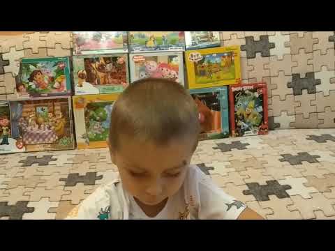 ПАЗЛ 80 элементов, сборка на время