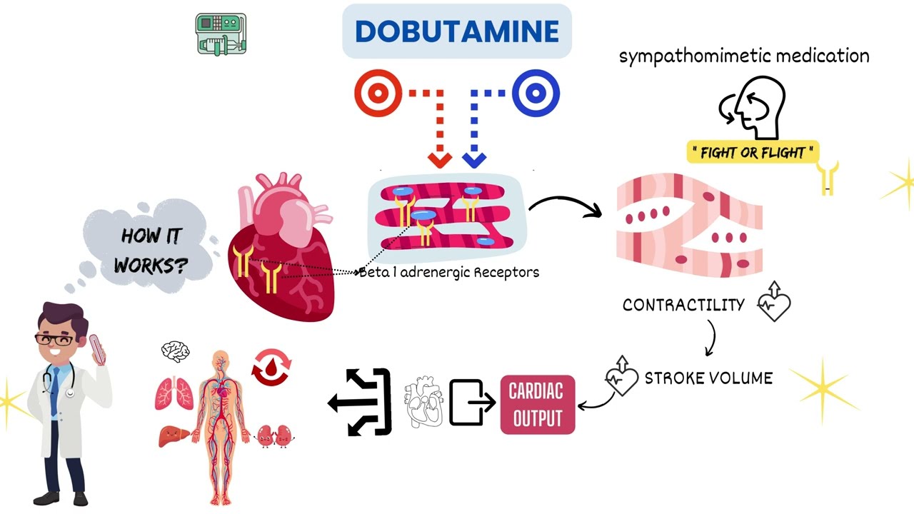 Dobutamine Drug Uses In ICU With MOA And Dosing YouTube Dobutamine Drug Uses In ICU With MOA And Dosing YouTube
