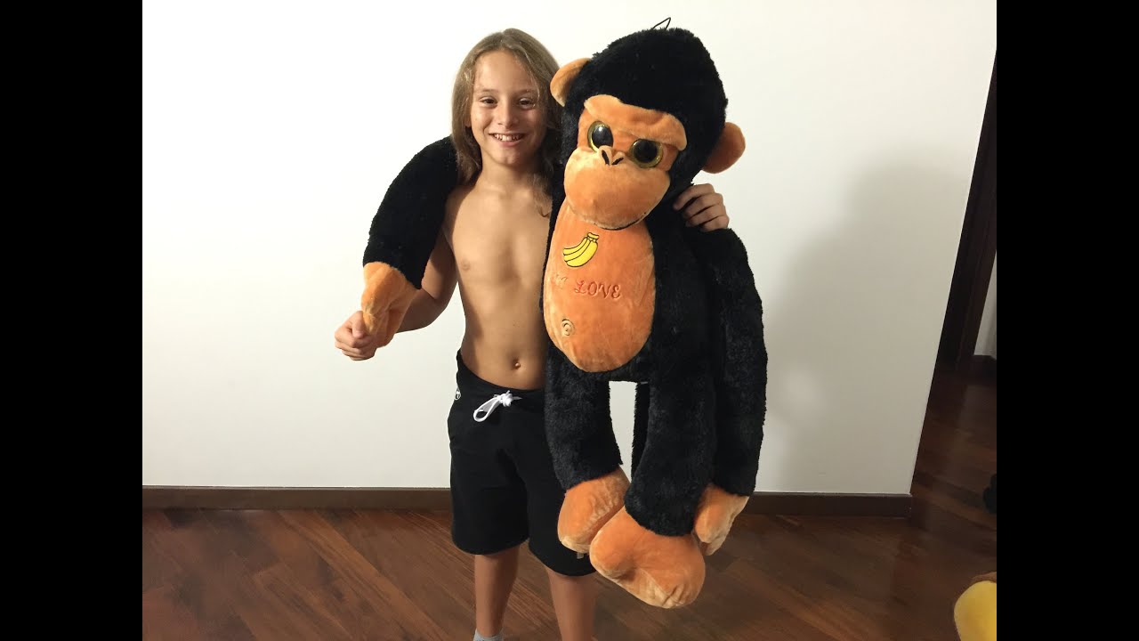 Come Vincere Alle Macchinette Dei Peluche