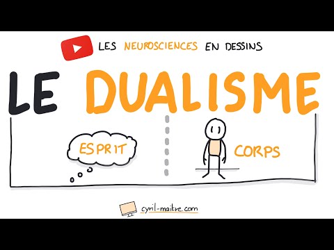 LA DUALISME - Les neurosciences en dessins