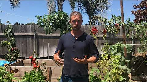 Weeds as a Resource with Farmer Greg Reese
