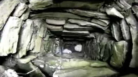 Search of a building for Barn Owls