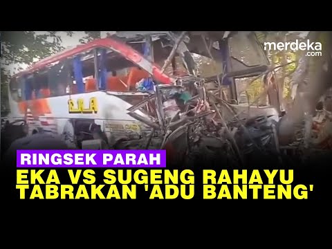 Penampakan Ringsek Kecelakaan Maut Bus Eka Vs Sugeng Rahayu, 4 Orang Tewas