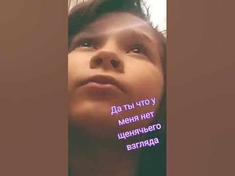 щенячий взгляд - YouTube