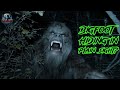 10 real bigfoot sightings new encounters to unravel