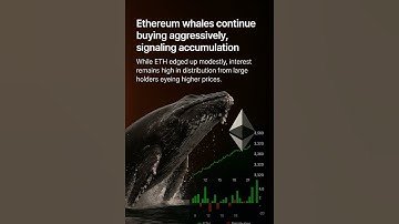 “Ethereum Whales Are Buying Big!🚀 ETH Price Accumulation Signals Major Move Ahead |Crypto News Today