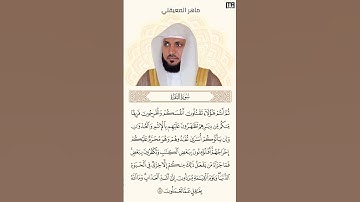 ماهر المعيقلي سورة البقرة آية 85 (ثم انتم هؤلاء تقتلون أنفسكم) | Mahmoud Okasha