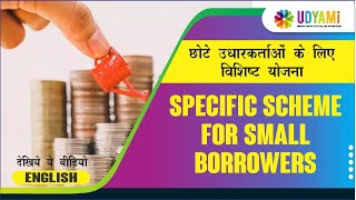 What are the Specific Scheme of Business Loan for Small Borrowers? screenshot 4