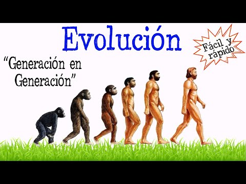 Vídeo: Què significa la forma física en l'evolució?