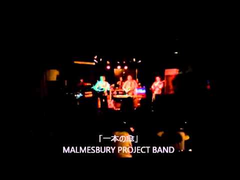 一本の傘 / MALMESBURY PROJECT BAND (70's TULIP COVER)