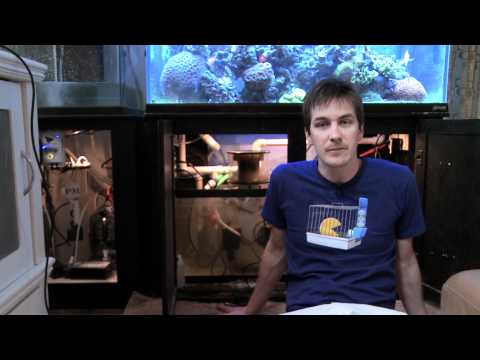 cube tank dimensions The Great Mr. Saltwater Tank LED Experiment