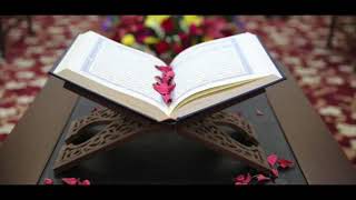 10 часов Новое красивое чтение Корана для сна, расслабления, молитвы и депрессии ١٠ ساعات قرآن