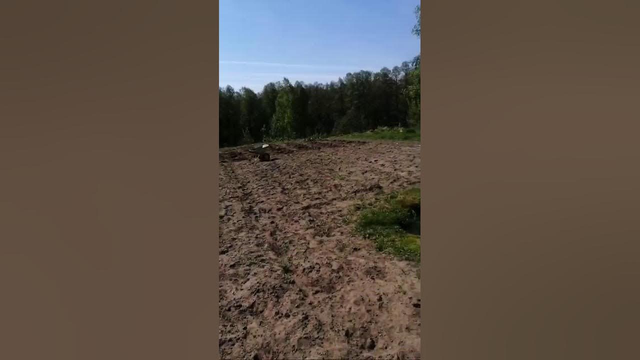 Давайте подумаем! - YouTube