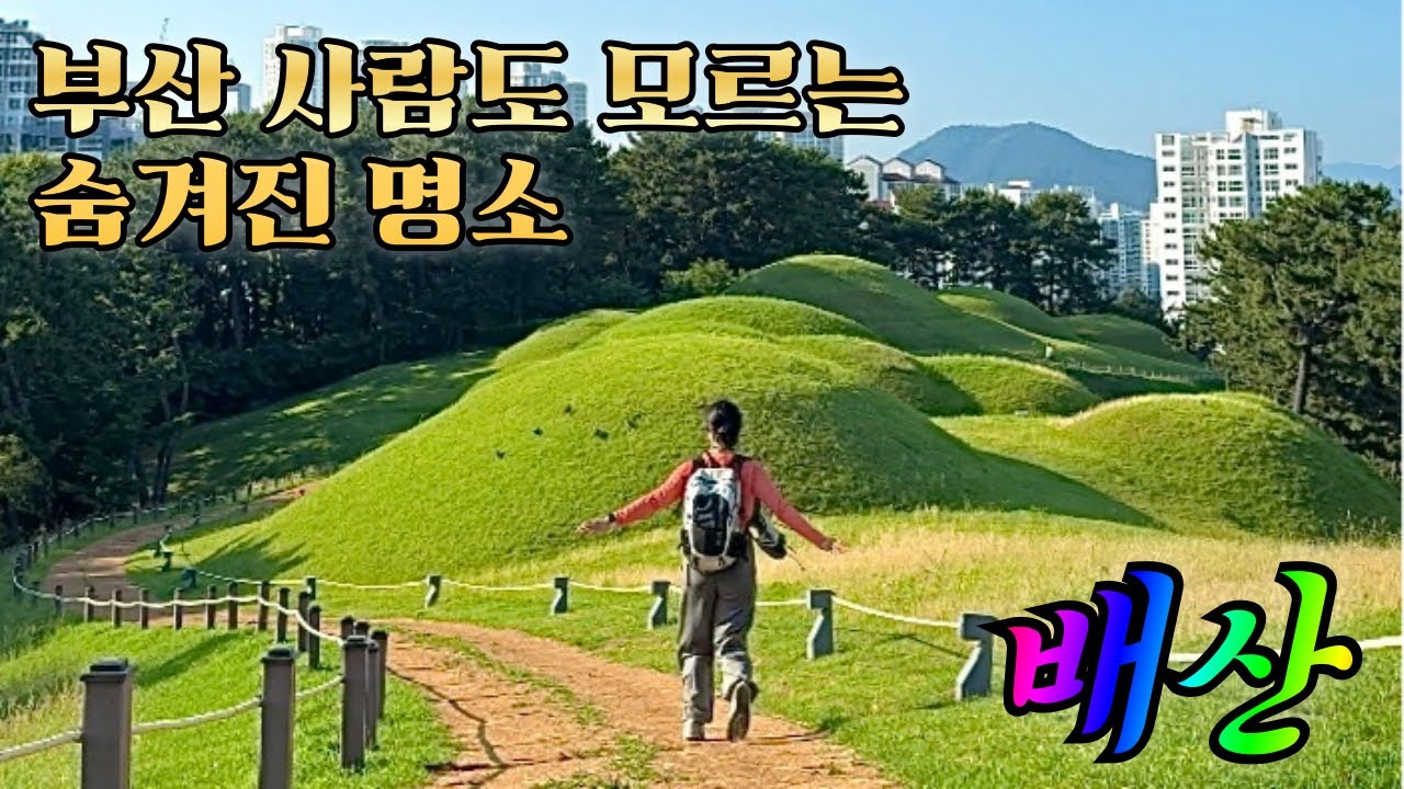 배산 등산 l 부산 도심 한복판에서 힐링하는 법 l 초보자도 가뿐한 부산 등산 코스 - YouTube
