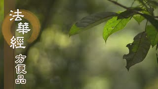 【靜思妙蓮華】法華經方便品 - 諸法寂滅相 - 20200826 第437集