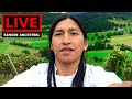 Jorge live stream in germany  relaxing music  nature
