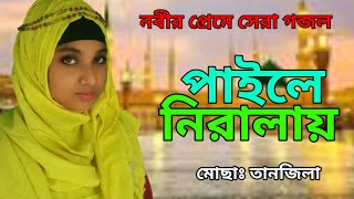 nasheed bangla | paile niralay go nobi | bangla gojol