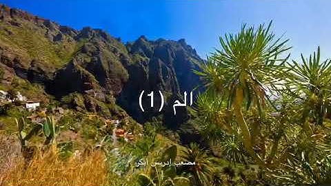 ‏تلاوة جديدة لابن الشيخ إدريس أبكر ‏( مصعب إدريس أبكر ) ‏تبارك الرحمن صـوت جميل وأداء مميز