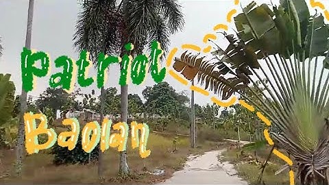 Patriot Baolan (Provinsi Sulawesi Tengah) - cover by kelompok 3